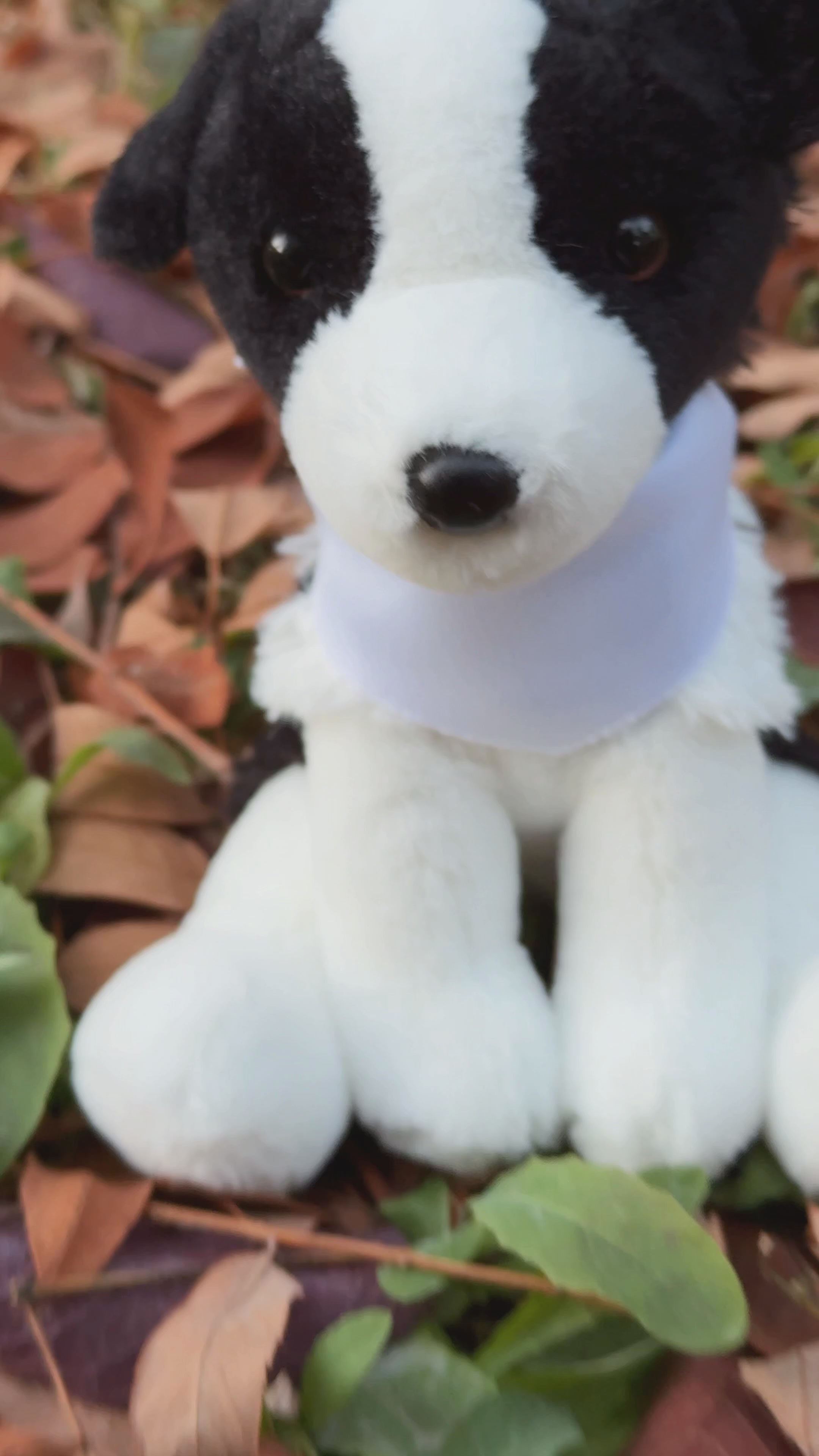 8" Oreo the Border Collie with Collar, Featuring Soft Fur and Includes a Lovely Video by Plushland.