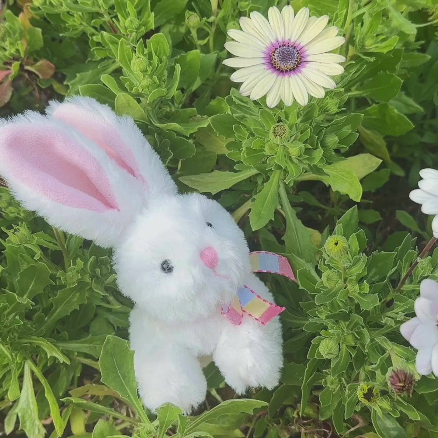 6" Fluffy Easter Bunny, Gray, White and Brown Color with soft fur and adorable features Includes video showcasing its cuteness by Plushland.