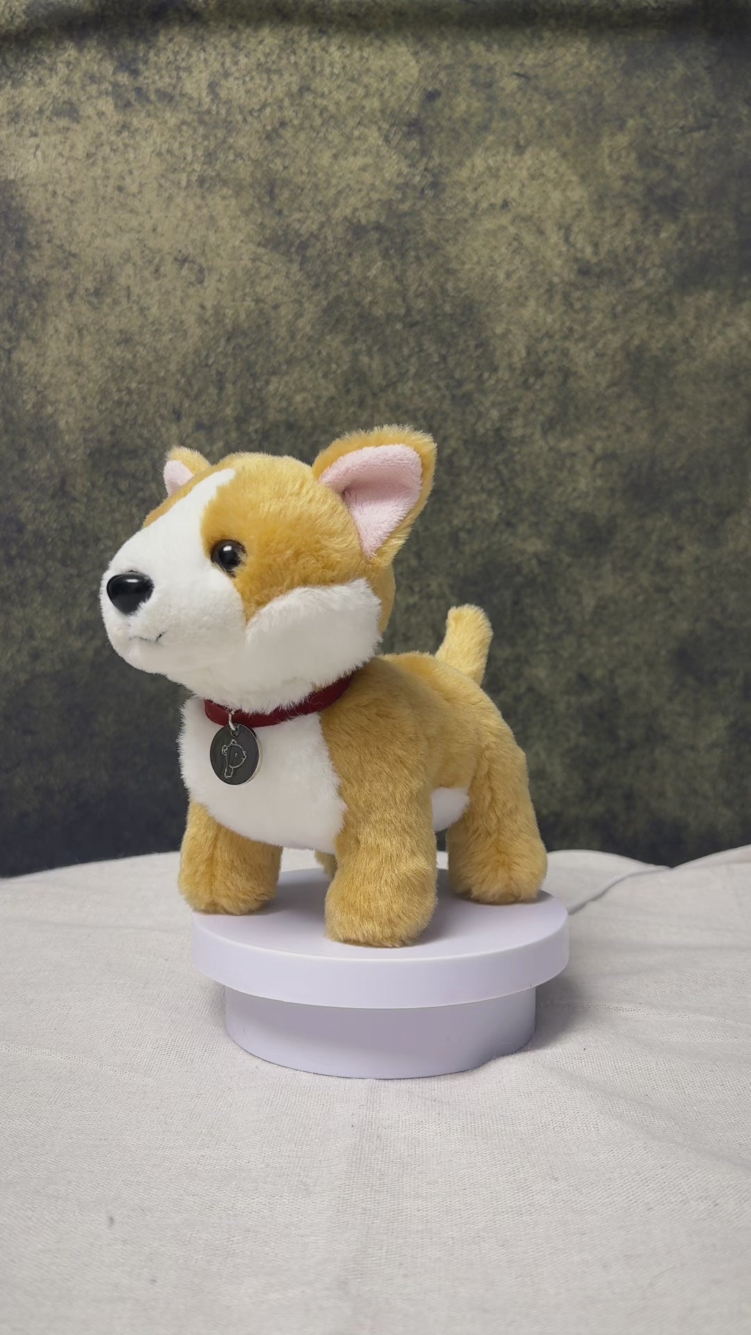 8" Standing Butterscotch the Corgi with Collar, Featuring Soft Fur and Includes a Lovely Video by Plushland.