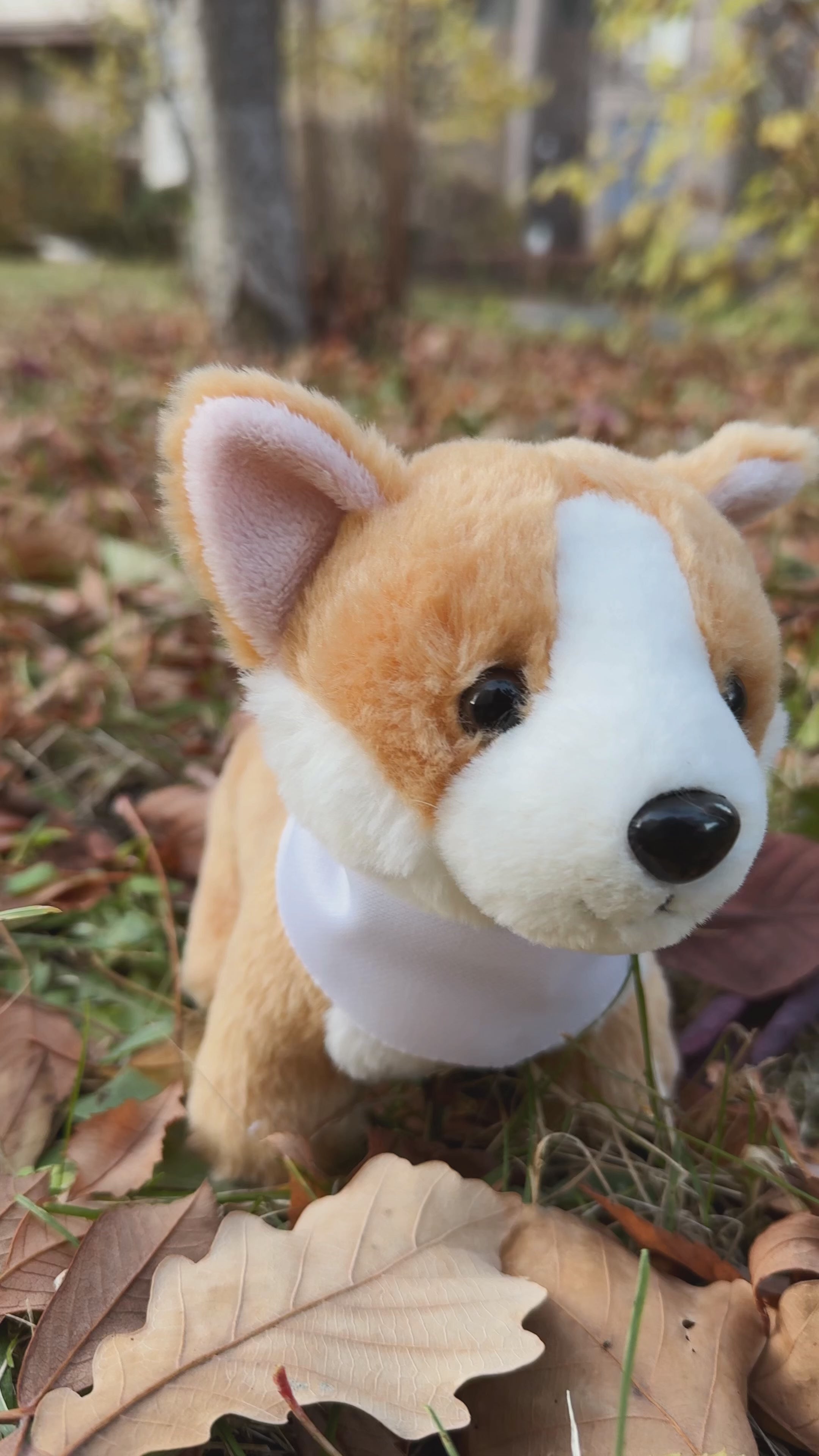 Stuffed Animal Corgi – 8