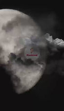 "Witch Cat Halloween Plush – Orange 7 Inch Halloween Plush Animals by Plushland"