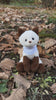 8" Mochi the Siamese Kitty with Collar, Featuring Soft Fur and Includes a Lovely Video by Plushland.