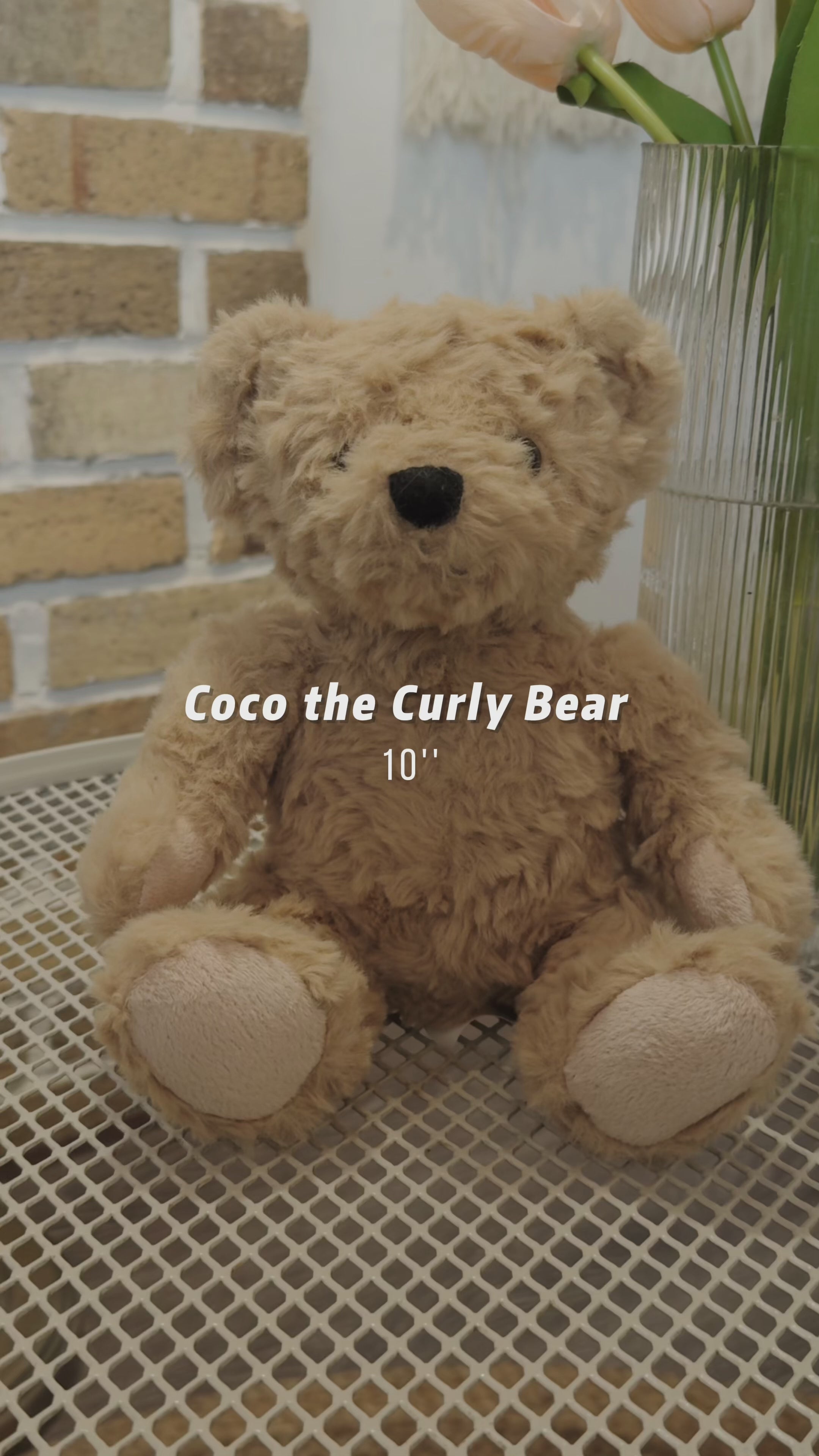 Coco the Curly Bear 9"-9