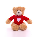 "Teddy bear sweater plush with love message and teddy bear heart – Plushland"