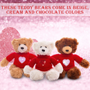 "Teddy bear sweater plush with love message and teddy bear heart – Plushland"