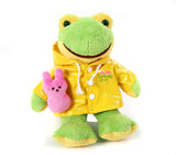 Plushland Easter Stuffed Animal with Bunny Carrot Soft Lovely Sitting Plush Toy with Raincoat 12 Inches