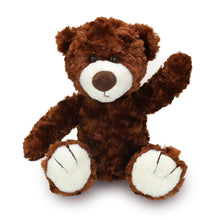Logan The Teddy Bears 12