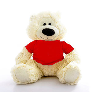 Custom teddy bear - Bear With Custom Shirt