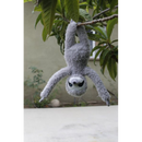 Slowla the Tree Sloth stuffed