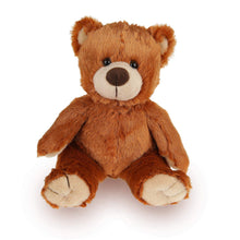 Noah Teddy Bear Stuffed Animal Toy 12 Inches