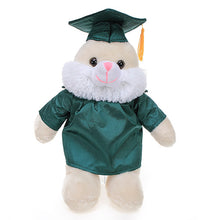 Graduation Stuffed Animal Plush Bunny 12
