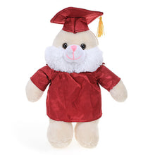 Graduation Stuffed Animal Plush Bunny 12