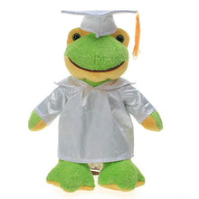 Graduation Stuffed Animal Plush Frog 12