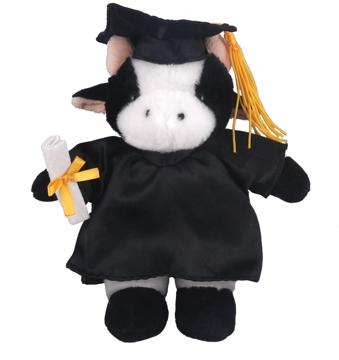 Graduation Stuffed Animal Gift 8"