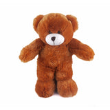 Floppy Teddy Bear<br> 6 Assorted Colors and 2 Sizes