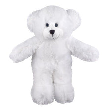 Floppy Teddy Bear 6 Assorted Colors and 2 Sizes