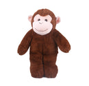 Floppy Monkey