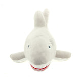 Gray Shark