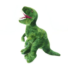 Trex Dinosaur 12