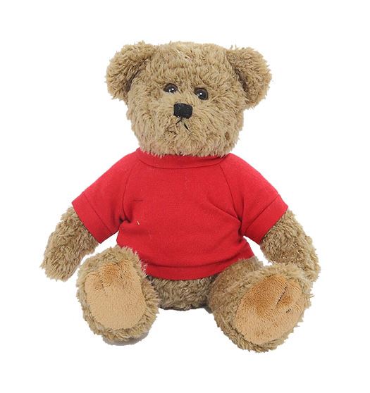 custom teddy bear - Oatmeal Bear with Custom Shirt