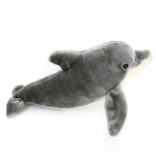 Dolphin Plush, Stuffed Animal