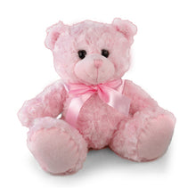 Classic Sitting Teddy Bear6 Assorted Color, 3 sizes